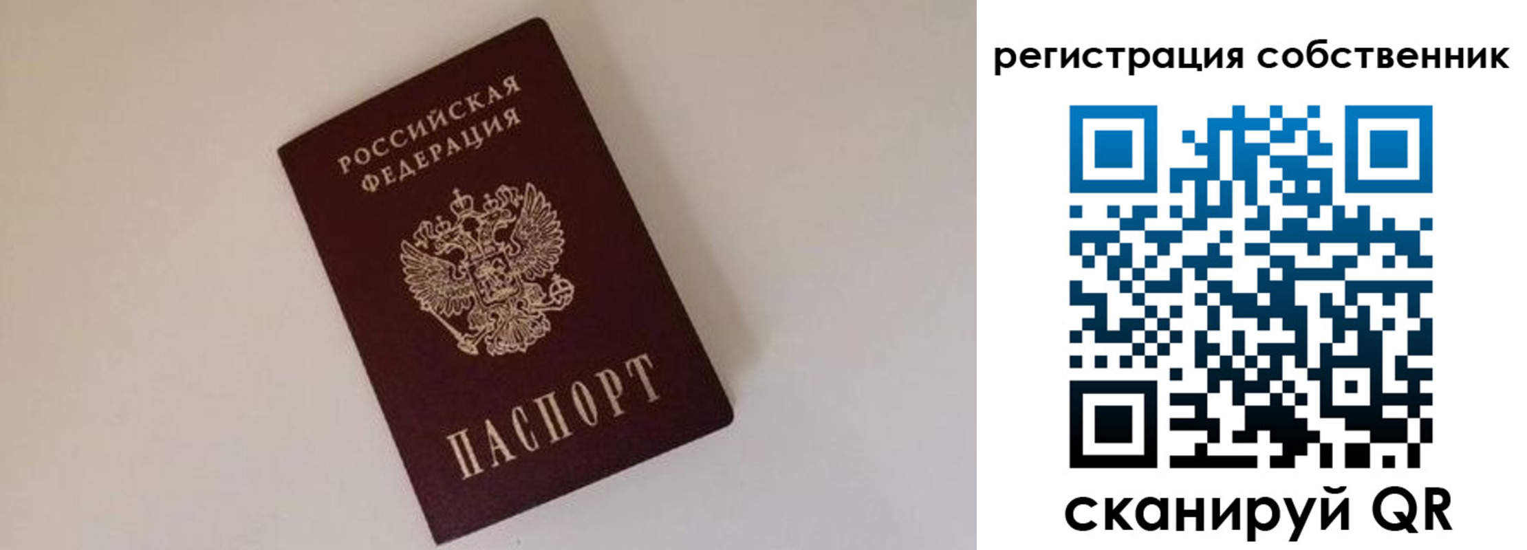 временная регистрация надежно в Жердевке
